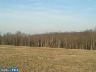 Lot 1 Tulpe Way Riegelsville, PA 18077 - Photo 2 of 5 Gallery Image 2