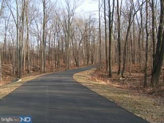 Lot 1 Tulpe Way Riegelsville, PA 18077 - Photo 3 of 5 Gallery Image 3