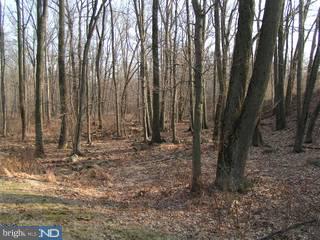 Lot 1 Tulpe Way Riegelsville, PA 18077 - Photo 5 of 5 Gallery Image 5
