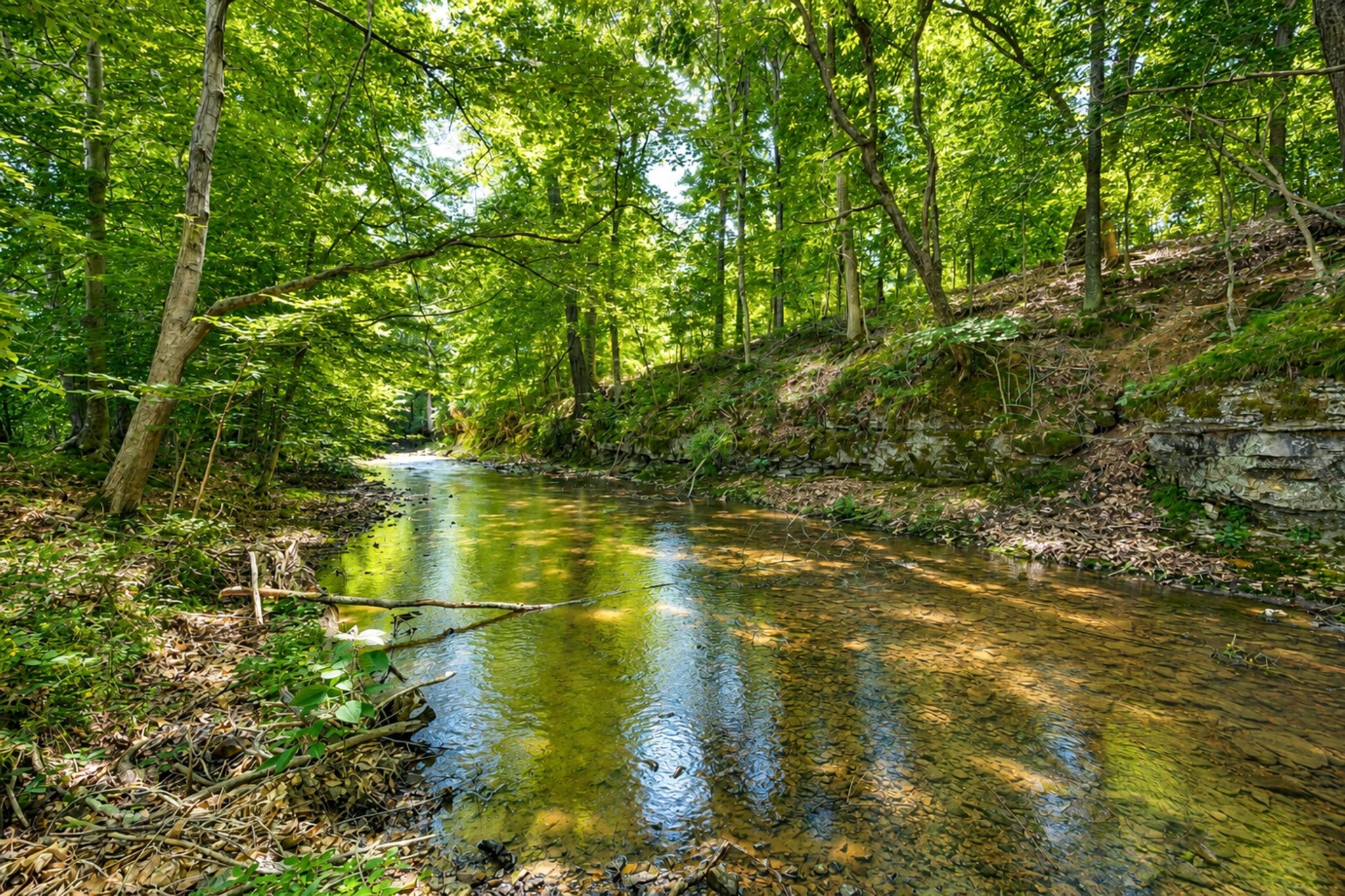 1397 Westfield Road Dickson, TN 37055 - Photo 84 of 84
