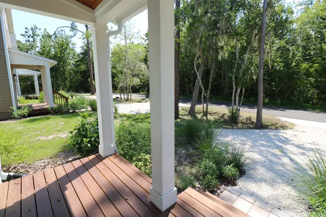 a view of backyard with large trees and plants
