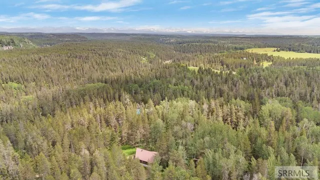 $599,000 | 1571 West Potpourri Drive, Ashton, ID 83420