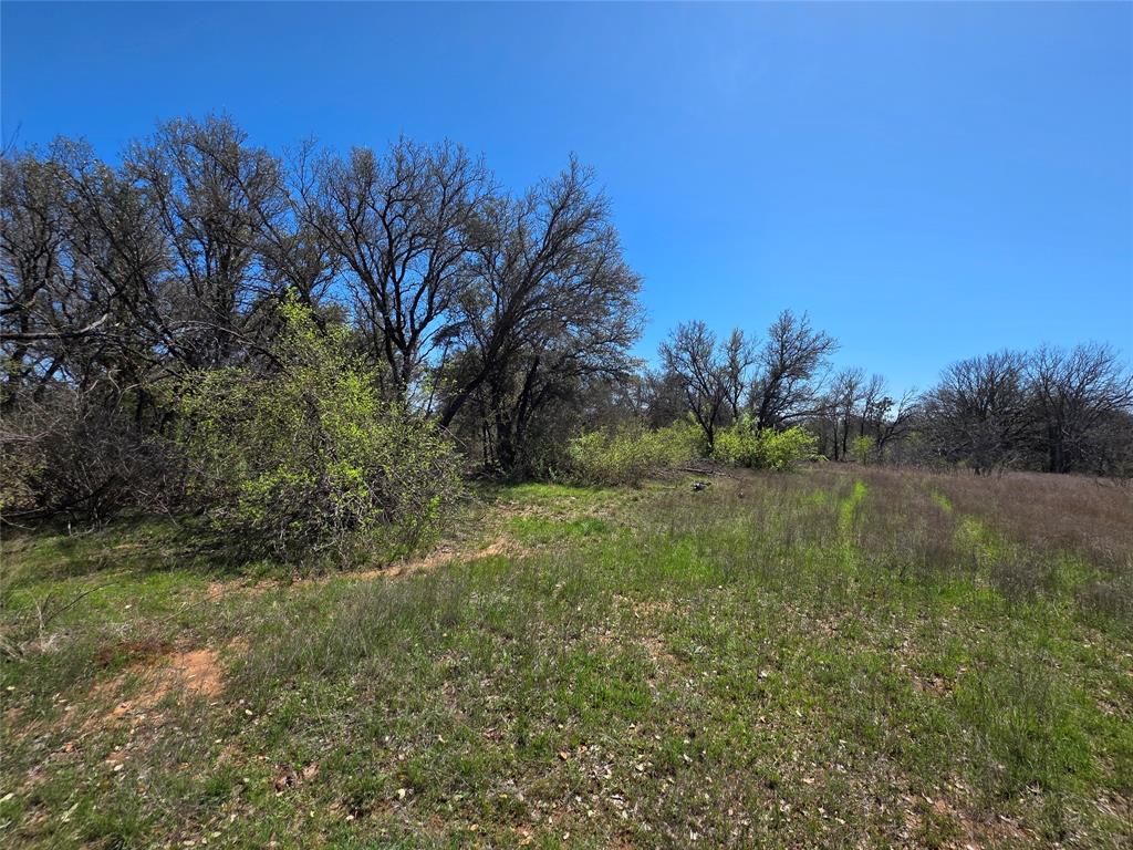 309 Highway 36 Gustine, TX 76455 - Photo 14 of 36 a view of lake with green space
