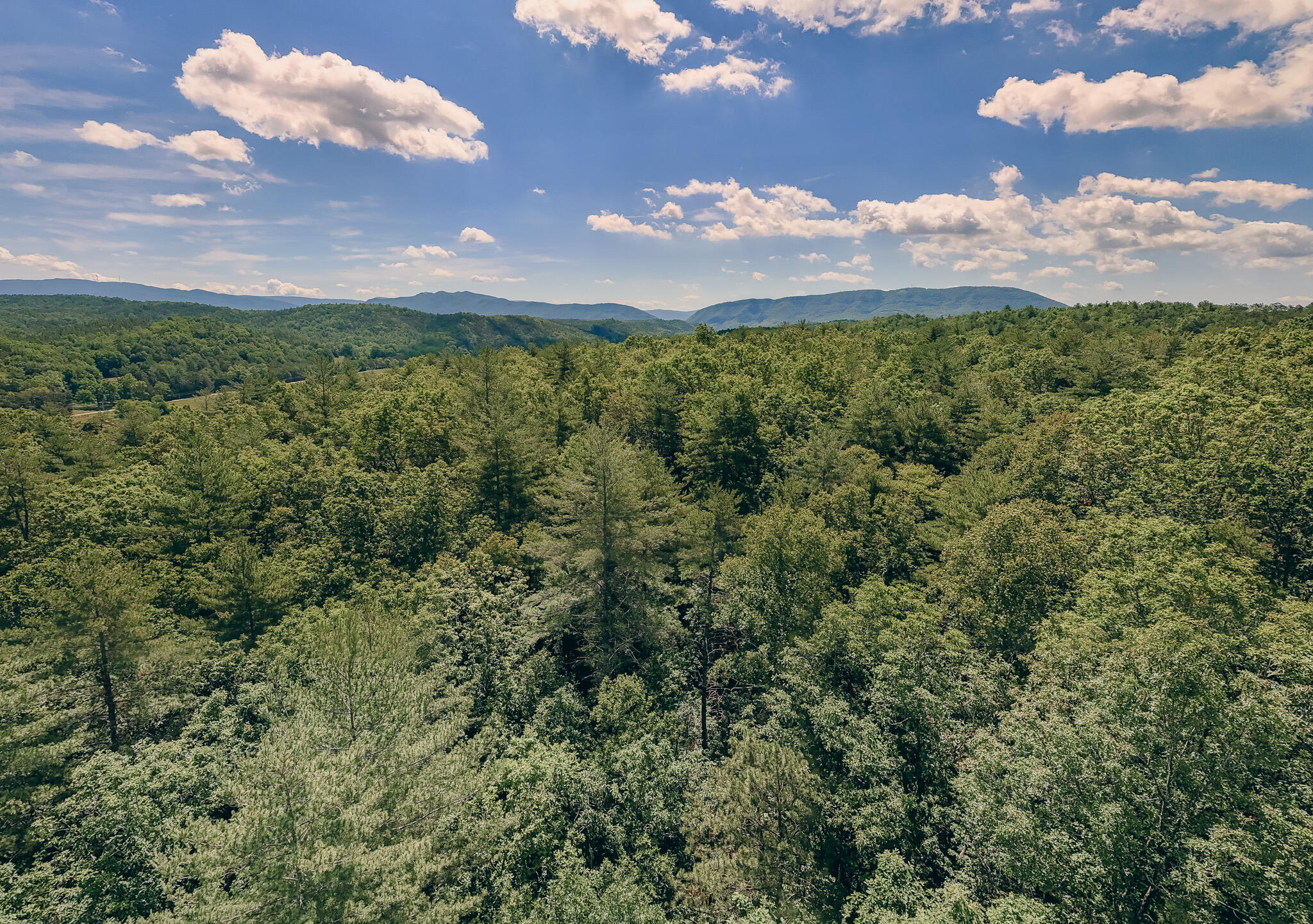 0 Ball Park Road Eagle Rock, VA 24085 - Photo 11 of 11 Hundley pic 13