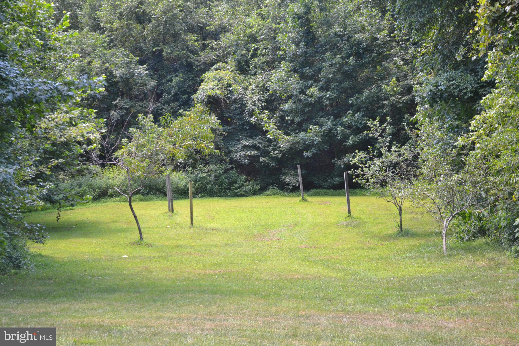 250 Potomac Run Road Fredericksburg, VA 22405 - Photo 8 of 28 Exterior (Rear)