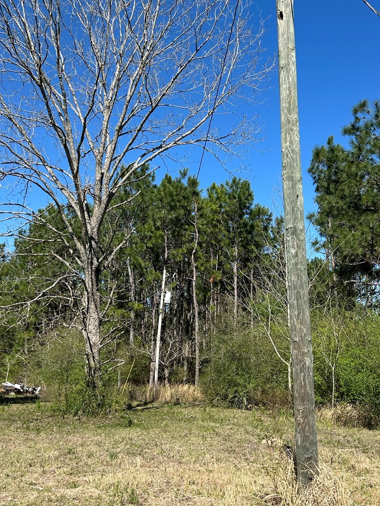 923 Lakeview Road Slocomb, AL 36375 - Photo 19 of 45