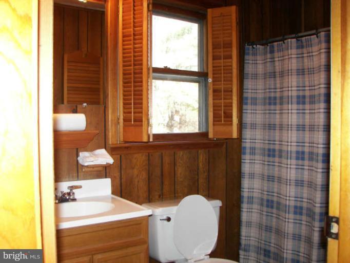300 Allemong Road Berkeley Springs, WV 25411 - Photo 14 of 20 Bath