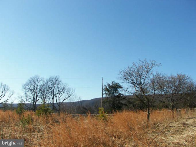300 Allemong Road Berkeley Springs, WV 25411 - Photo 7 of 20 View