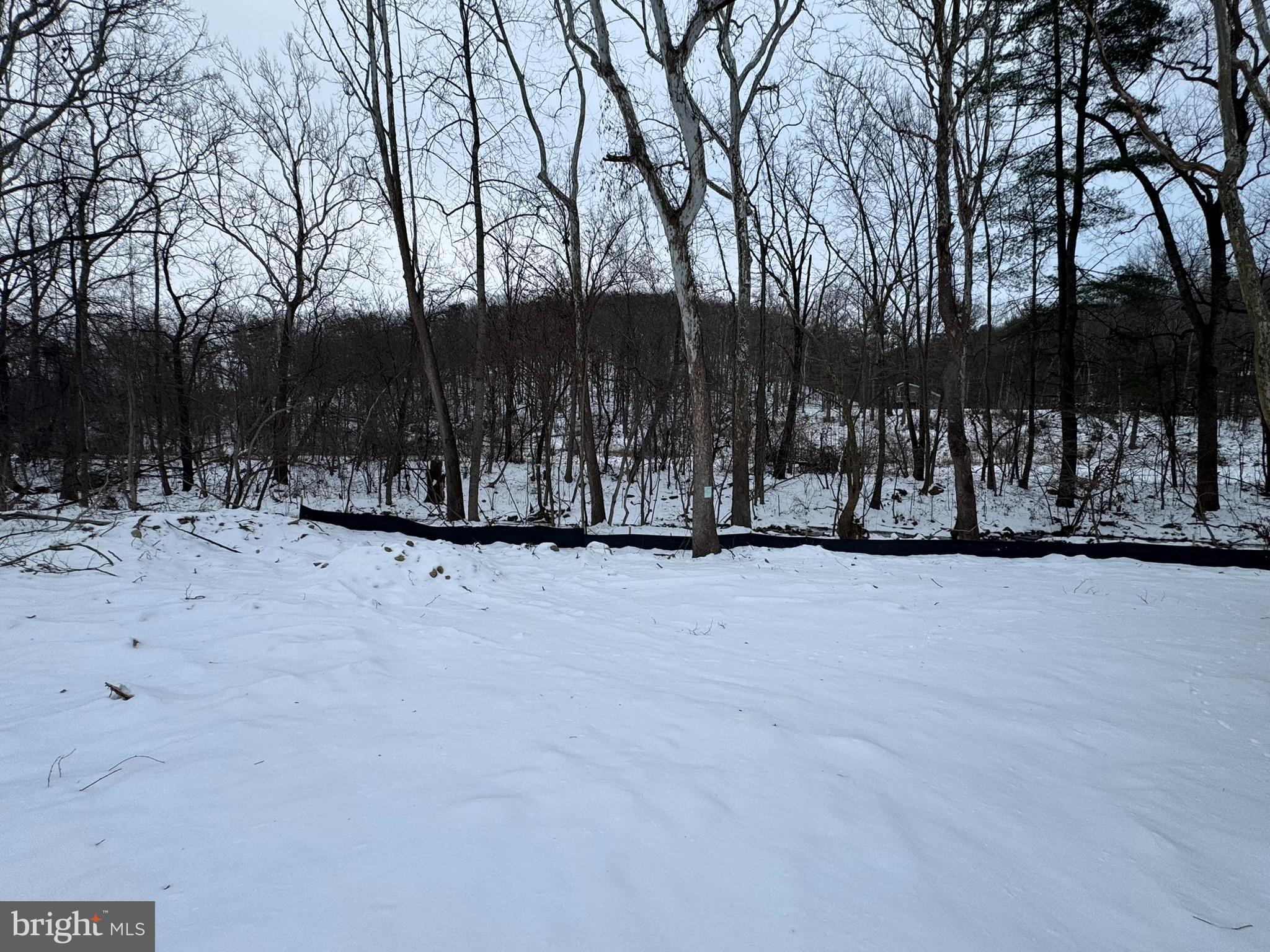 88 Thompson Mill Road Front Royal, VA 22630 - Photo 6 of 59 a view of wooden fence under a large tree