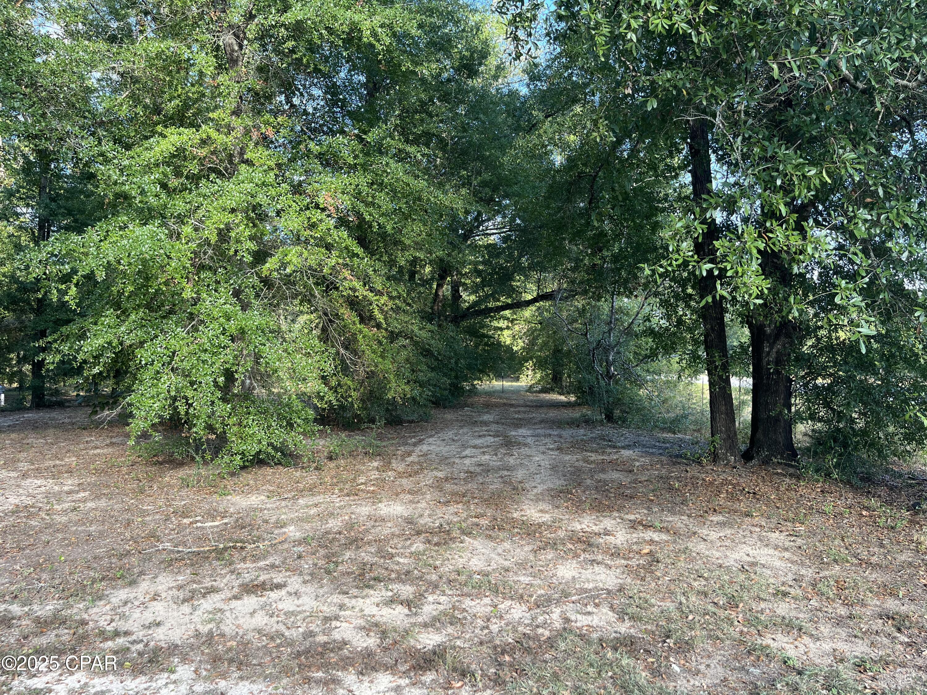 7958 Northwest County Road 274 Altha, FL 32421 - Photo 4 of 53