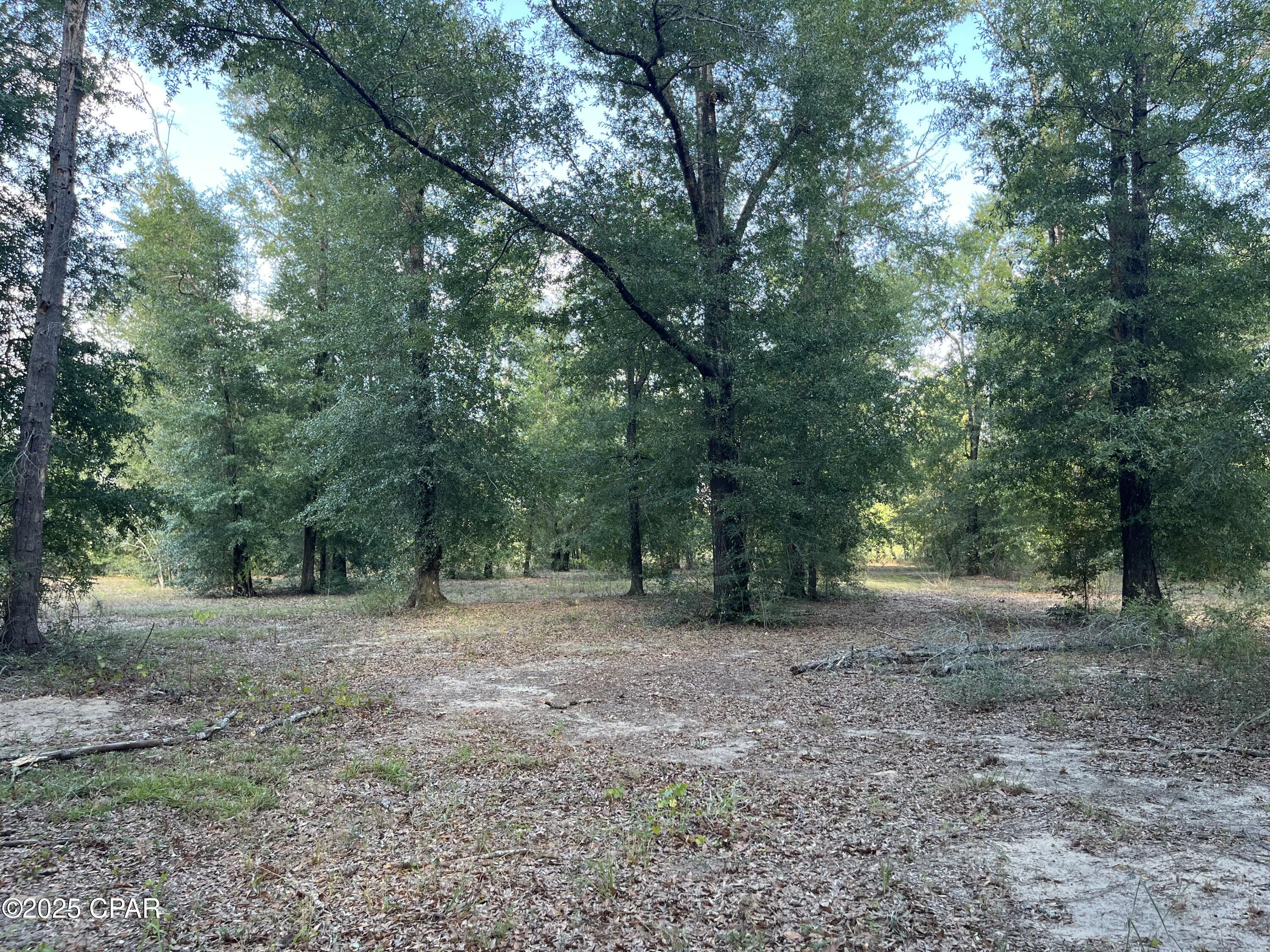 7958 Northwest County Road 274 Altha, FL 32421 - Photo 44 of 53