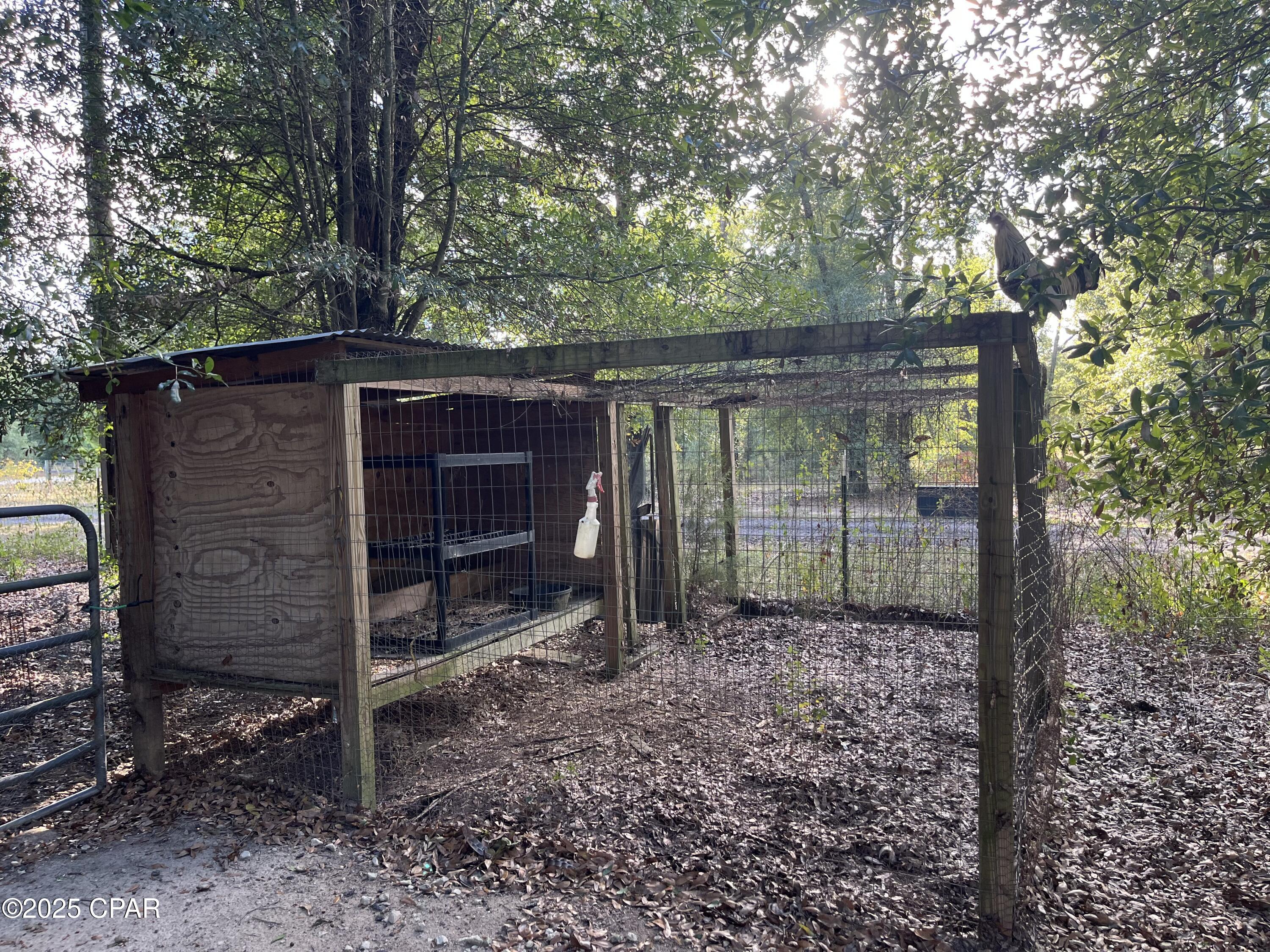 7958 Northwest County Road 274 Altha, FL 32421 - Photo 5 of 53