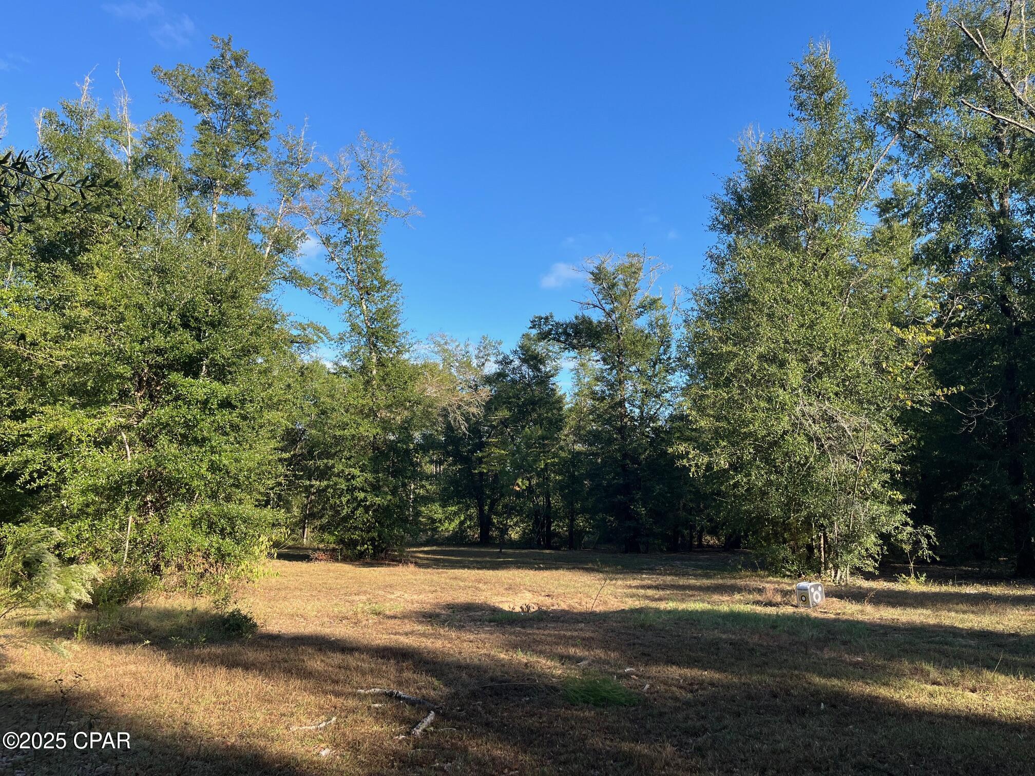 7958 Northwest County Road 274 Altha, FL 32421 - Photo 51 of 53