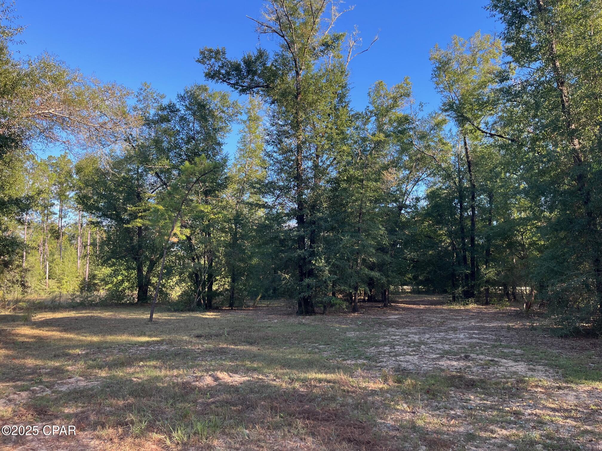 7958 Northwest County Road 274 Altha, FL 32421 - Photo 52 of 53