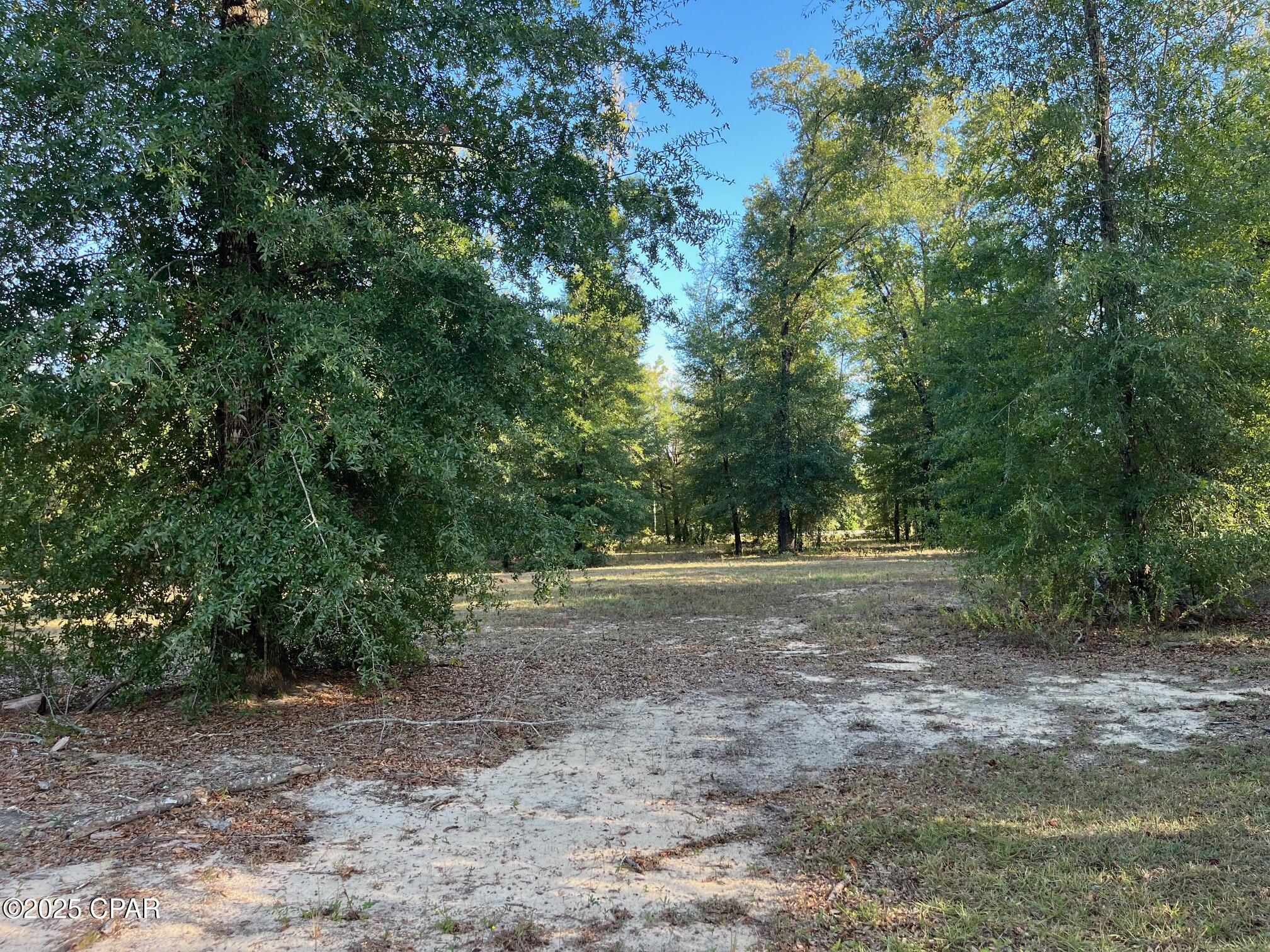 7958 Northwest County Road 274 Altha, FL 32421 - Photo 53 of 53