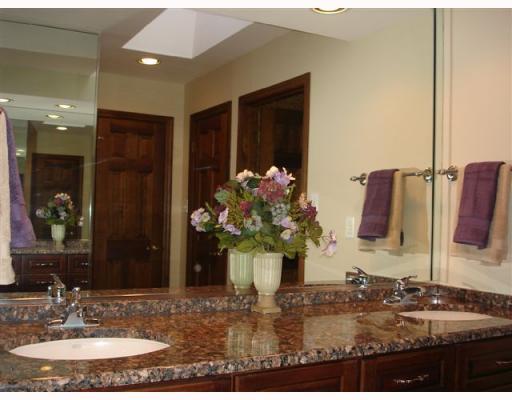 798 Scrubgrass Road Mt. Lebanon, PA 15243 - Photo 13 of 18 Master Bath/Spa.