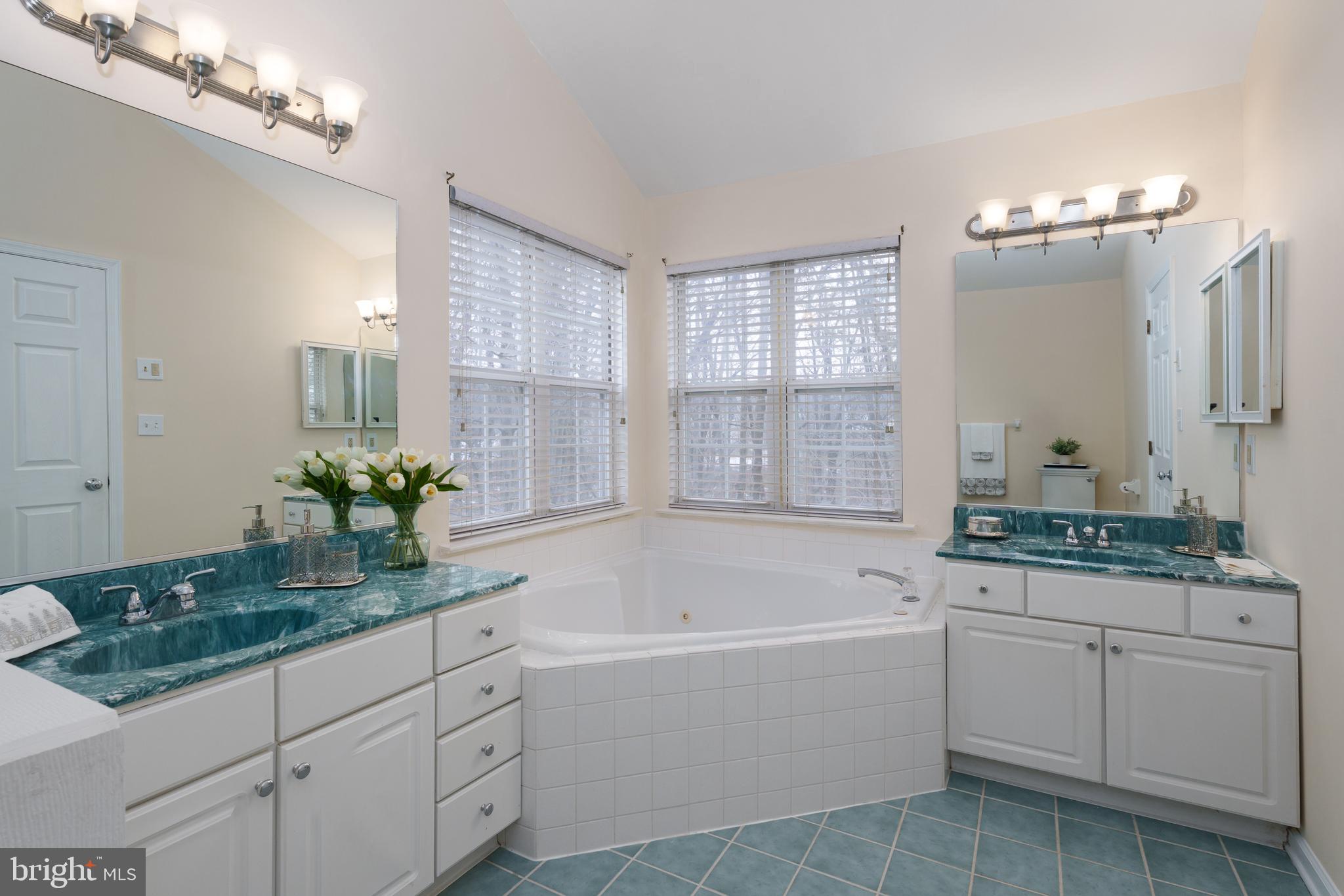 19 Rider Terrace Princeton, NJ 08540 - Photo 19 of 28 a bathroom with a granite countertop double vanity sink a bathtub and shower