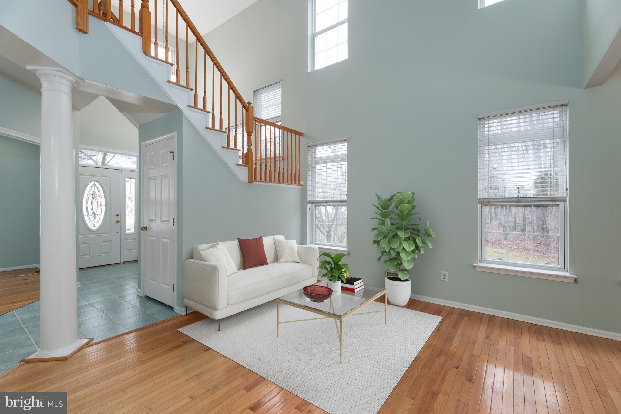 19 Rider Terrace Princeton, NJ 08540 - Photo 6 of 28 a living room with furniture and a potted plant
