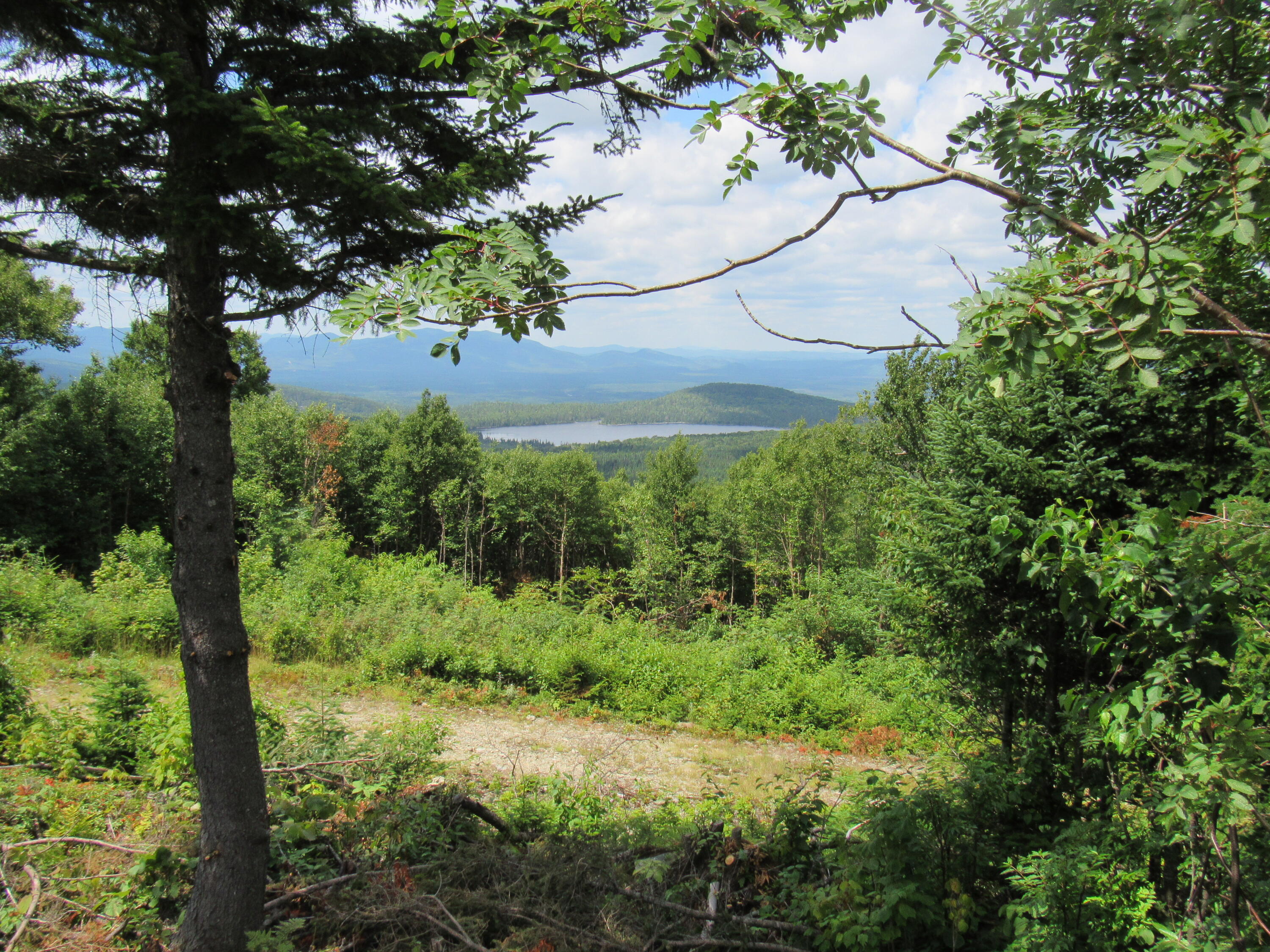 6 Moutain Road West Forks, ME 04985 - Photo 2 of 3 IMG_5969