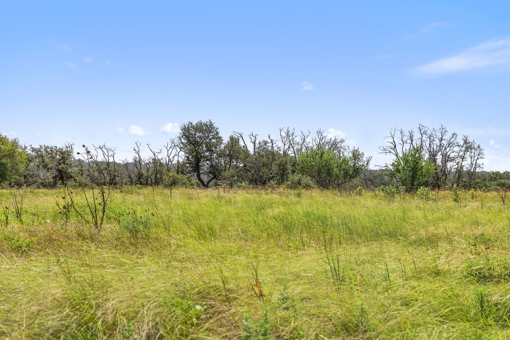 Tbd Reeh Road Fredericksburg, TX 78624 - Photo 27 of 37 A verdant field of tall grasses under a wide-open sky, offering a serene natural backdrop.
