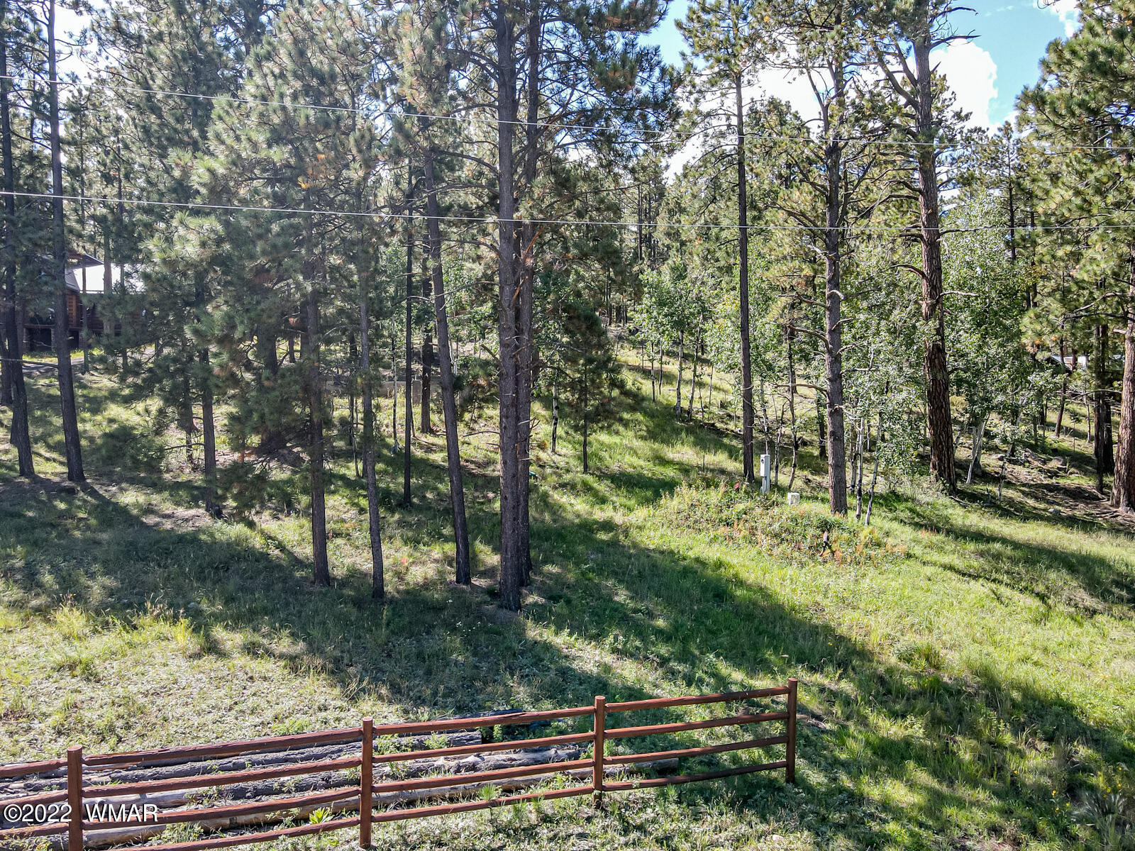 8 County Road Greer, AZ 85927 - Photo 11 of 18
