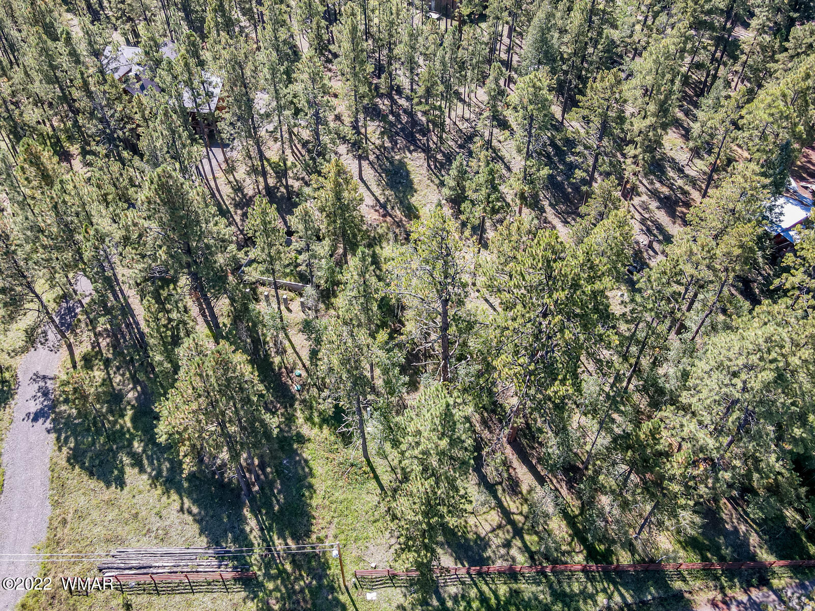 8 County Road Greer, AZ 85927 - Photo 15 of 18