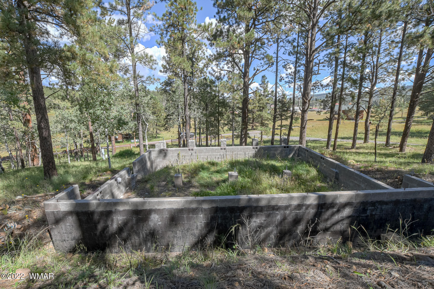 8 County Road Greer, AZ 85927 - Photo 2 of 18