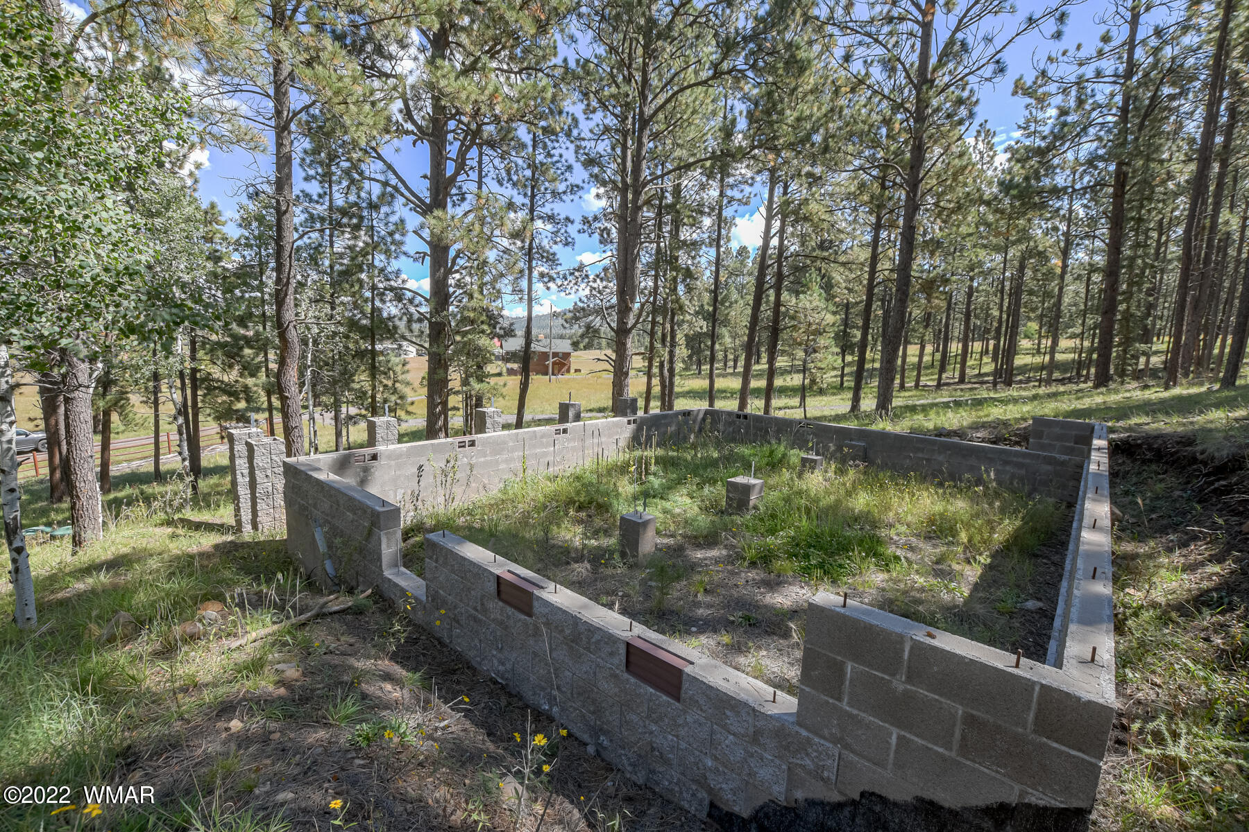 8 County Road Greer, AZ 85927 - Photo 3 of 18