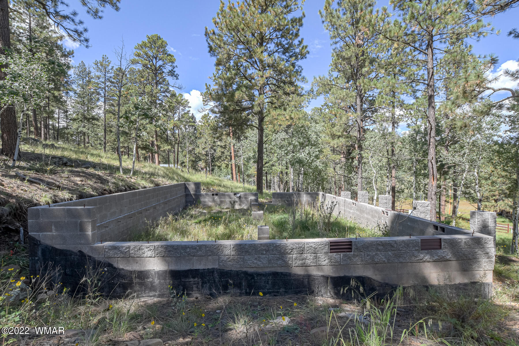8 County Road Greer, AZ 85927 - Photo 4 of 18