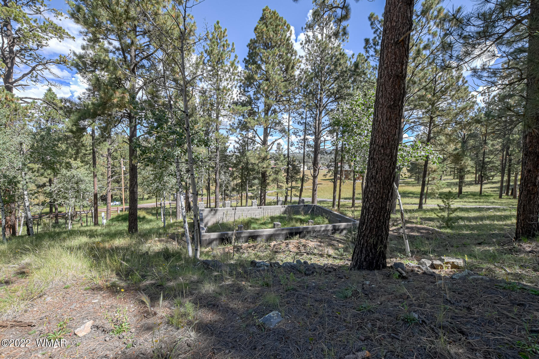 8 County Road Greer, AZ 85927 - Photo 5 of 18