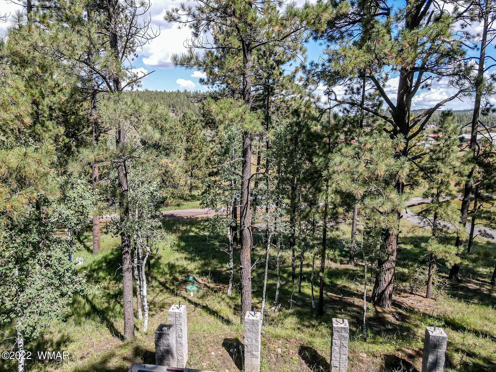 8 County Road Greer, AZ 85927 - Photo 6 of 18