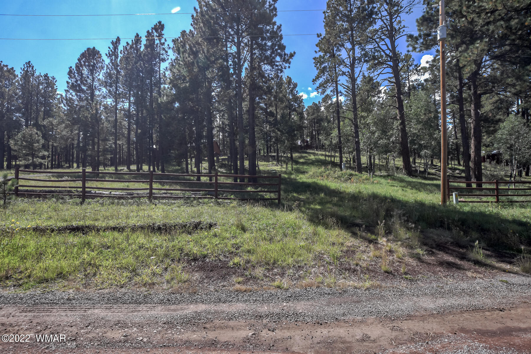 8 County Road Greer, AZ 85927 - Photo 7 of 18