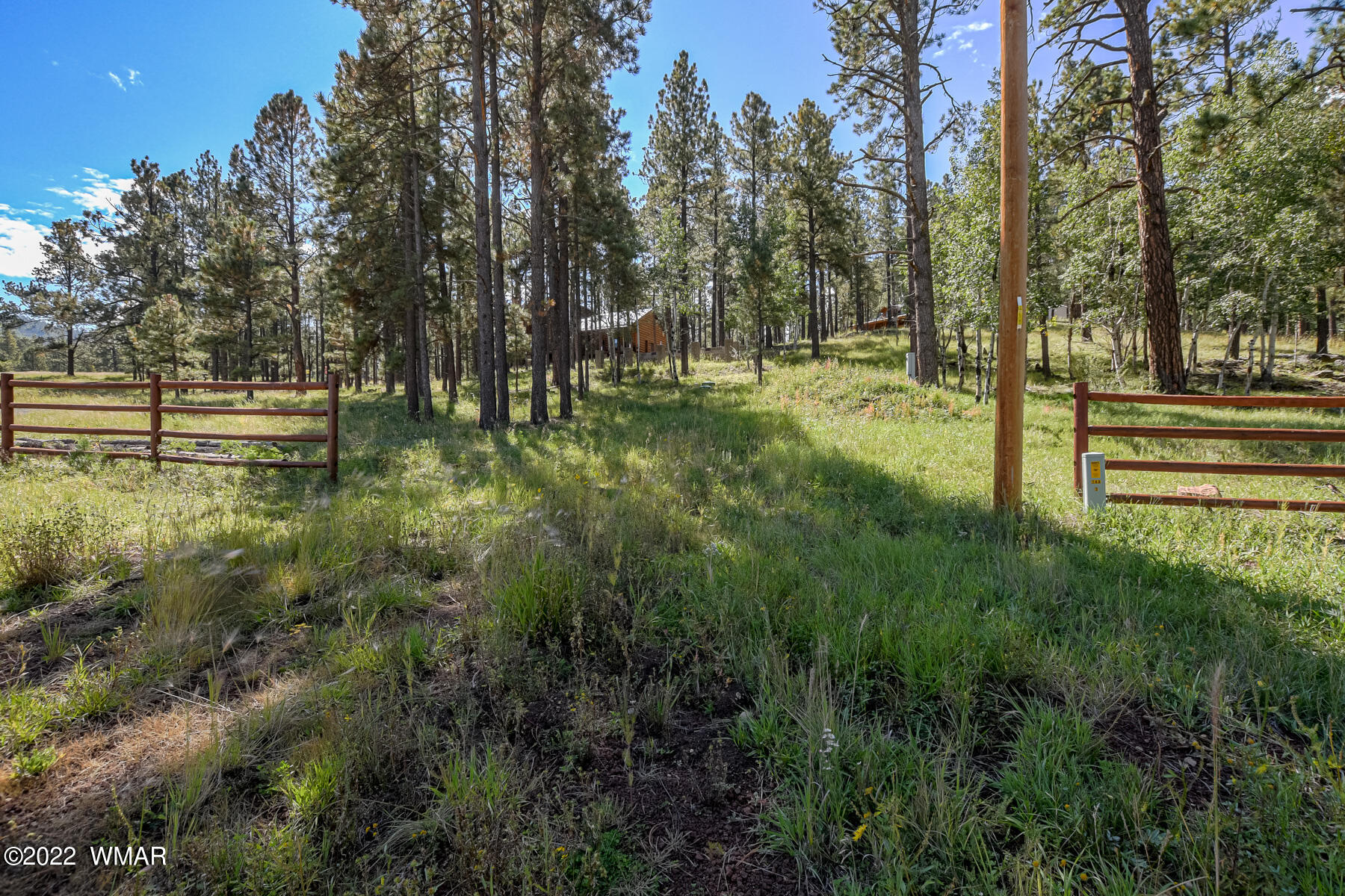 8 County Road Greer, AZ 85927 - Photo 8 of 18