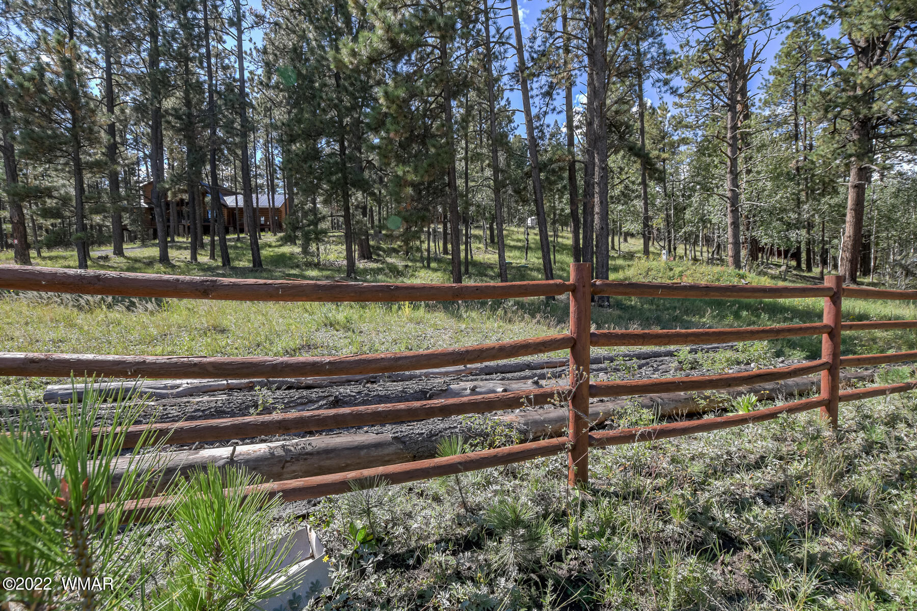 8 County Road Greer, AZ 85927 - Photo 9 of 18