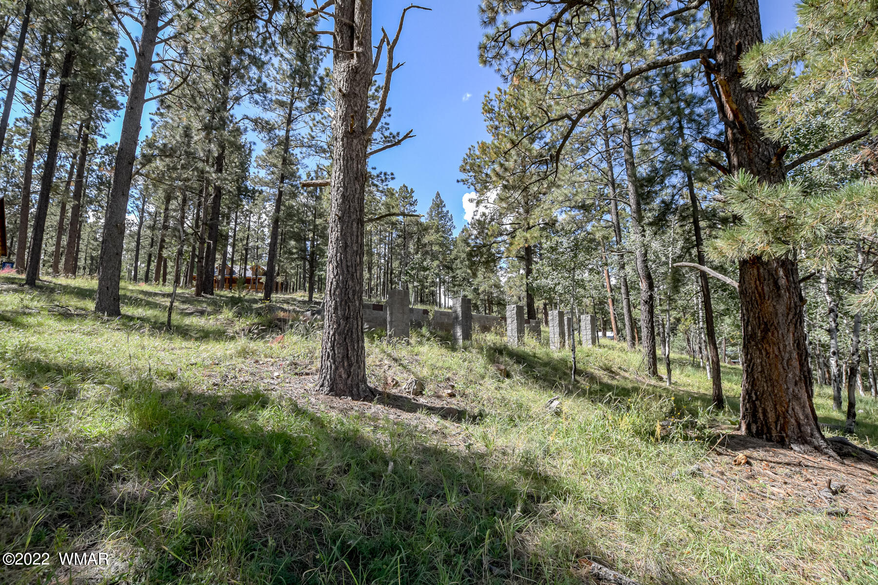 8 County Road Greer, AZ 85927 - Photo 10 of 18