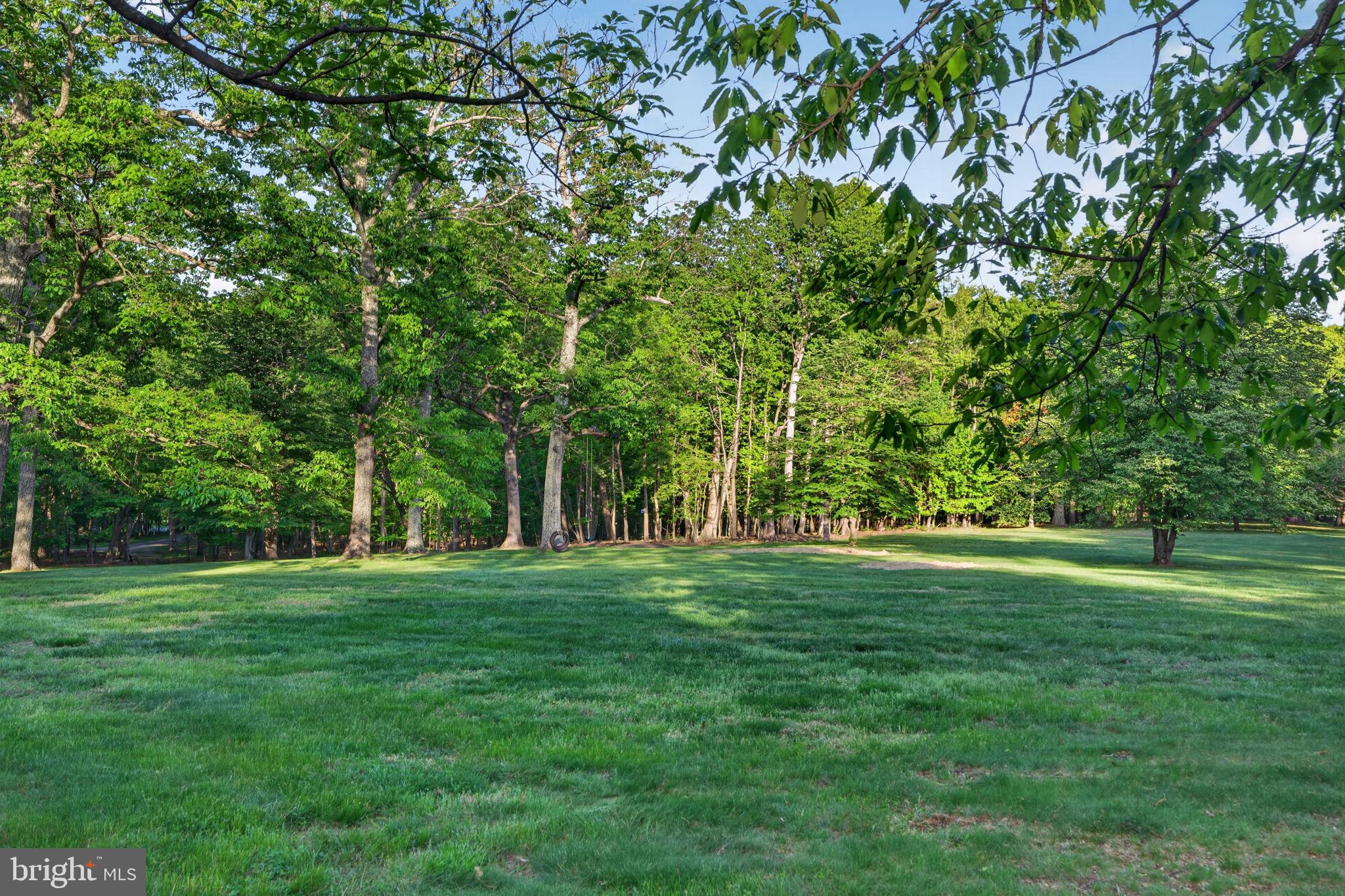 3204 Mountain Road Haymarket, VA 20169 - Photo 46 of 61