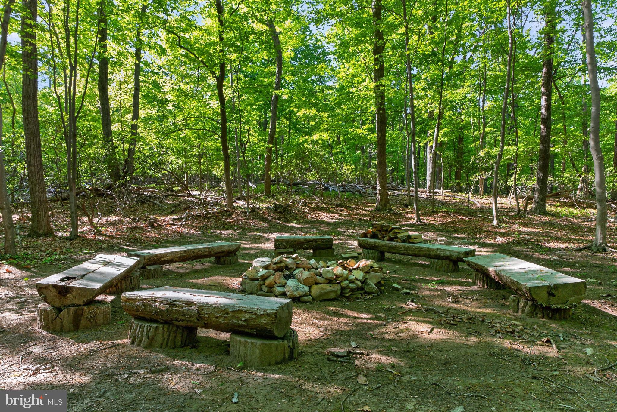 3204 Mountain Road Haymarket, VA 20169 - Photo 49 of 61