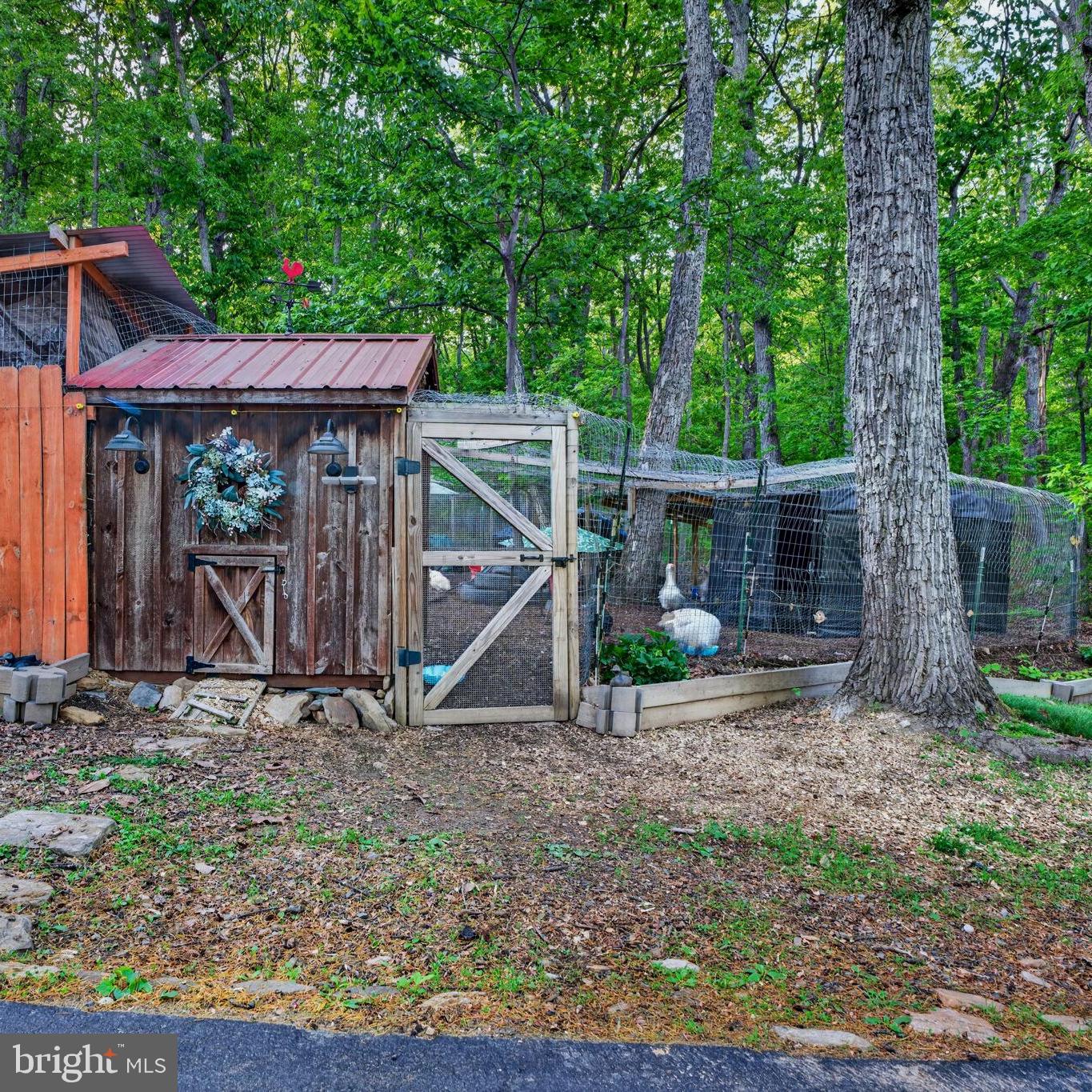 3204 Mountain Road Haymarket, VA 20169 - Photo 52 of 61