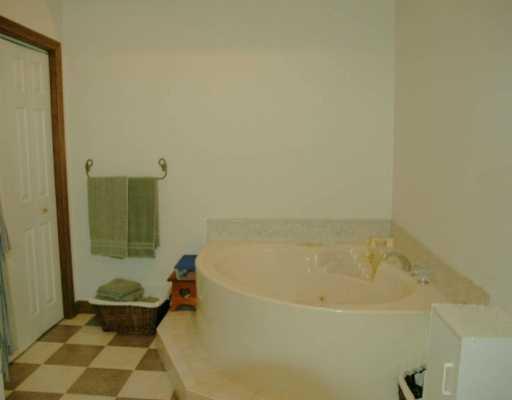 229 Highway 68 Rochester, PA 15074 - Photo 7 of 8 Master Bath/Spa.