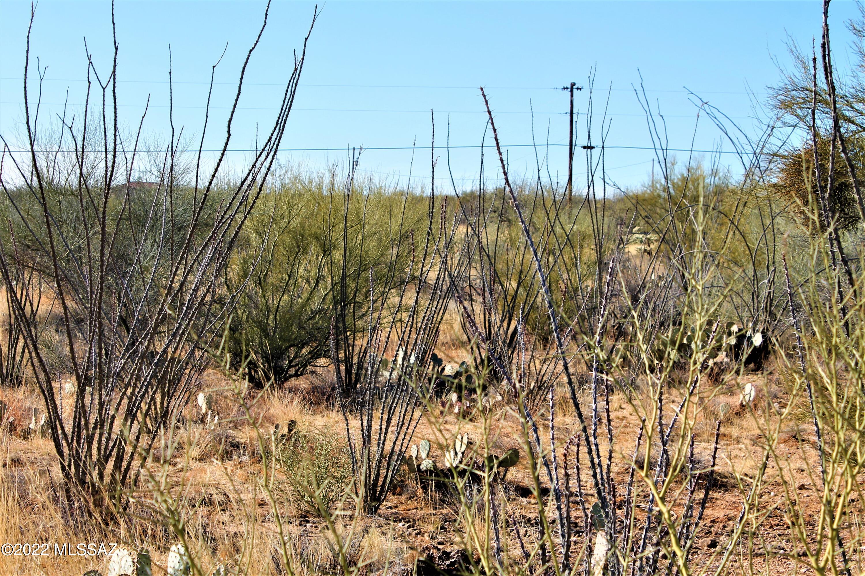 Tbd West Pima Mine Road, Unit 2 Sahuarita, AZ 85629 - Photo 3 of 12