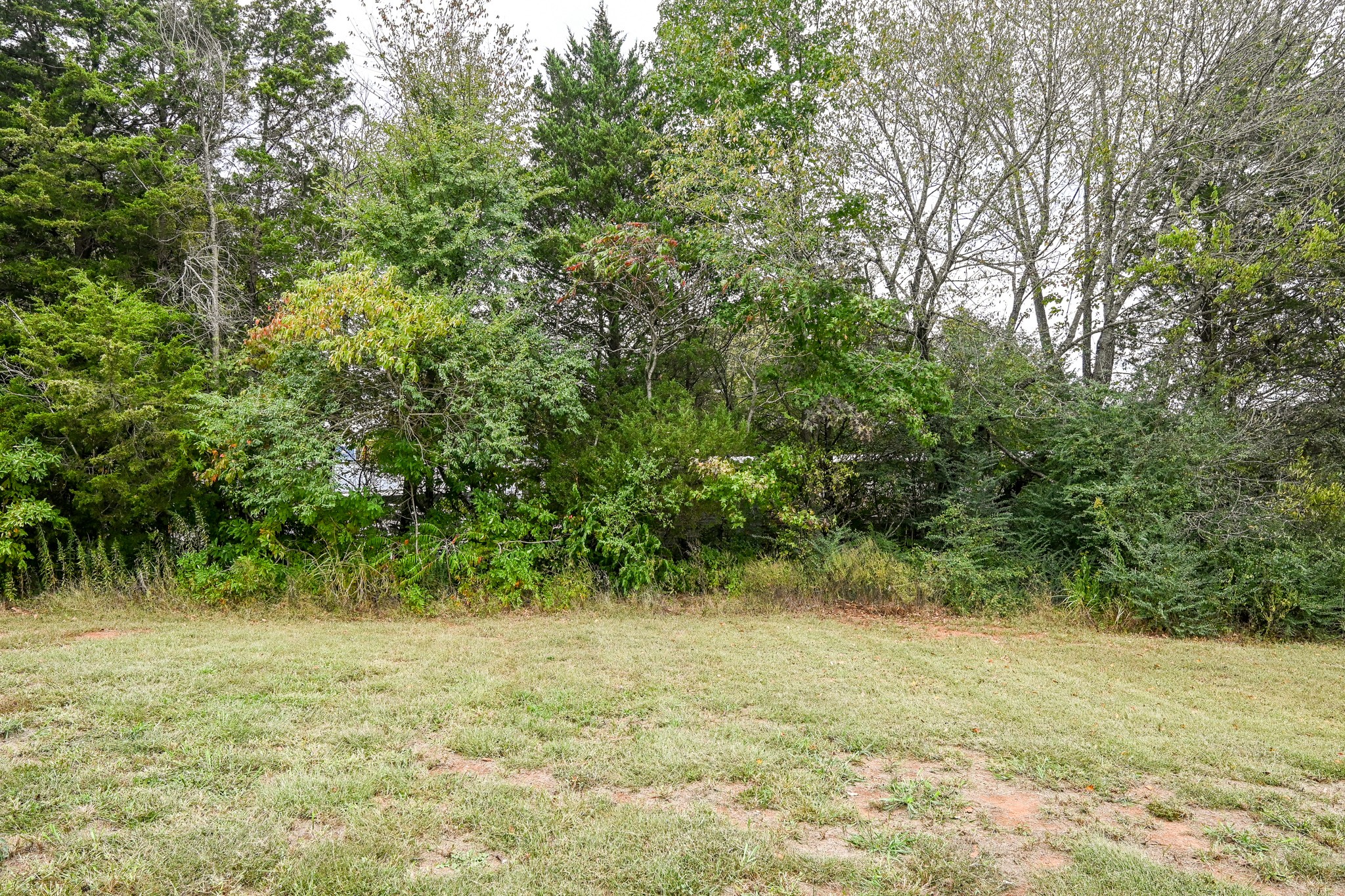 100 Co Road Riceville, TN 37370 - Photo 22 of 41 Gallery Image 22