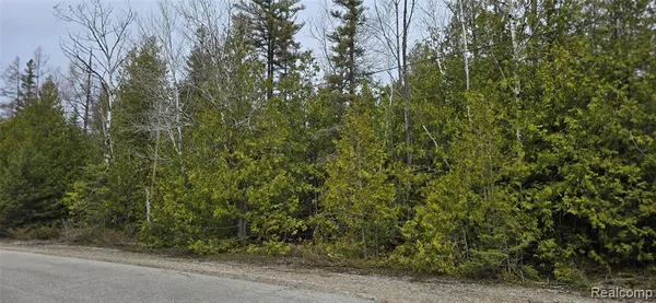$3,800 | Vl Lot 332 Vl Drive, Rogers City, MI 49779