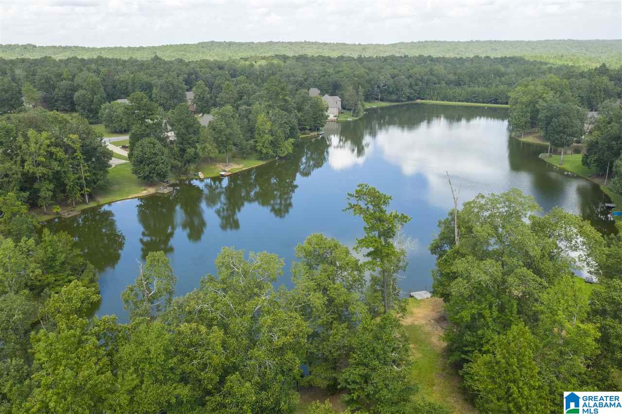 3527 Lakefront Trail Helena, AL 35022 - Photo 7 of 43