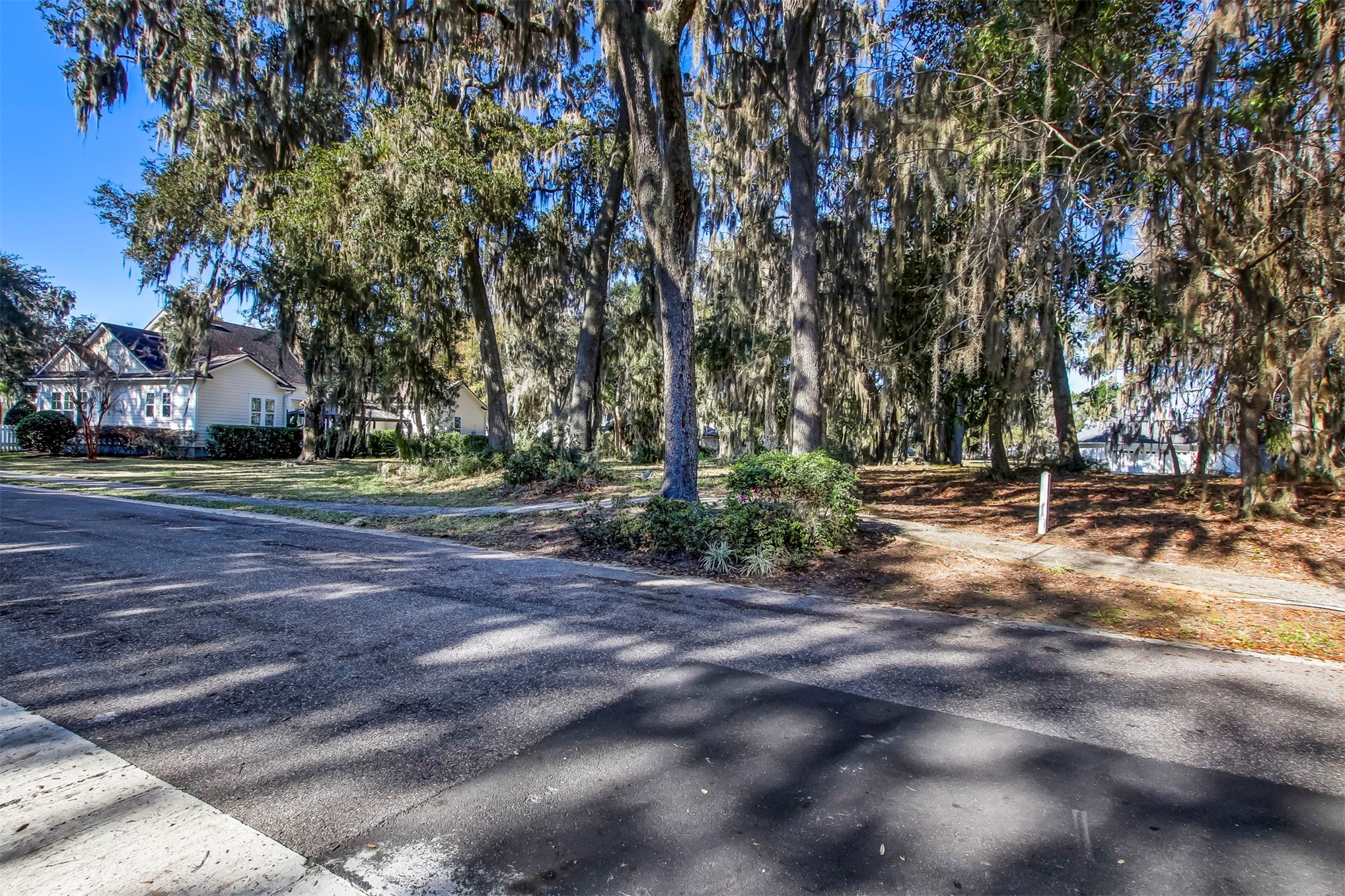 a view of outdoor space with trees