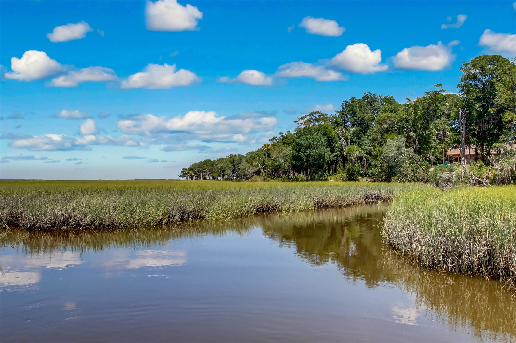 28857 Grandview Manor Yulee, FL 32097 - Photo 27 of 41 a view of a lake from a yard