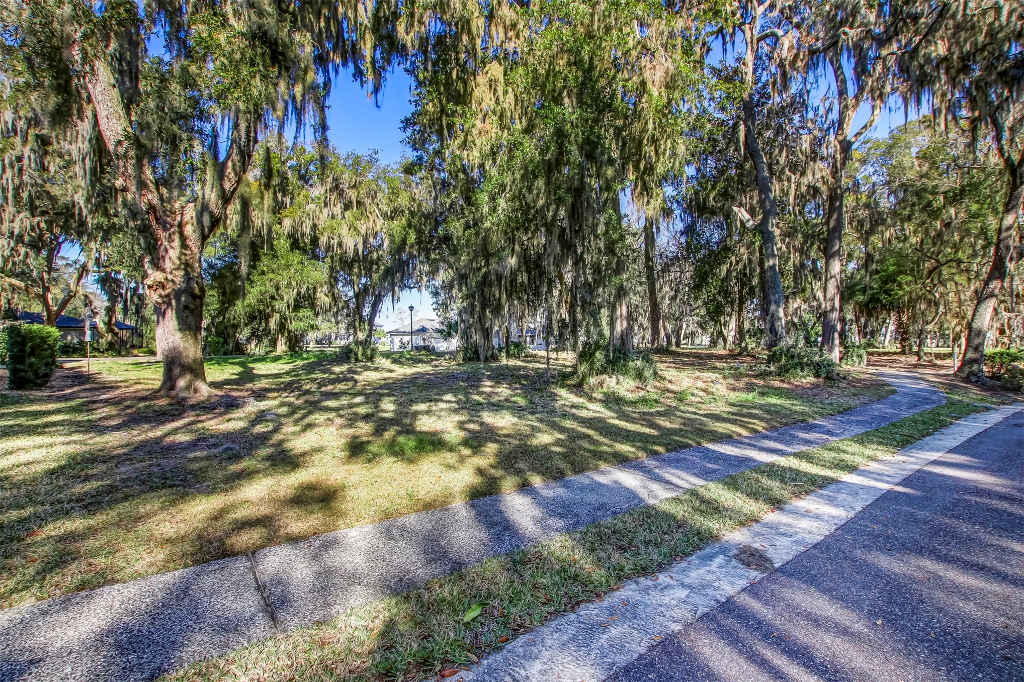 28857 Grandview Manor Yulee, FL 32097 - Photo 5 of 41 a view of a yard with trees