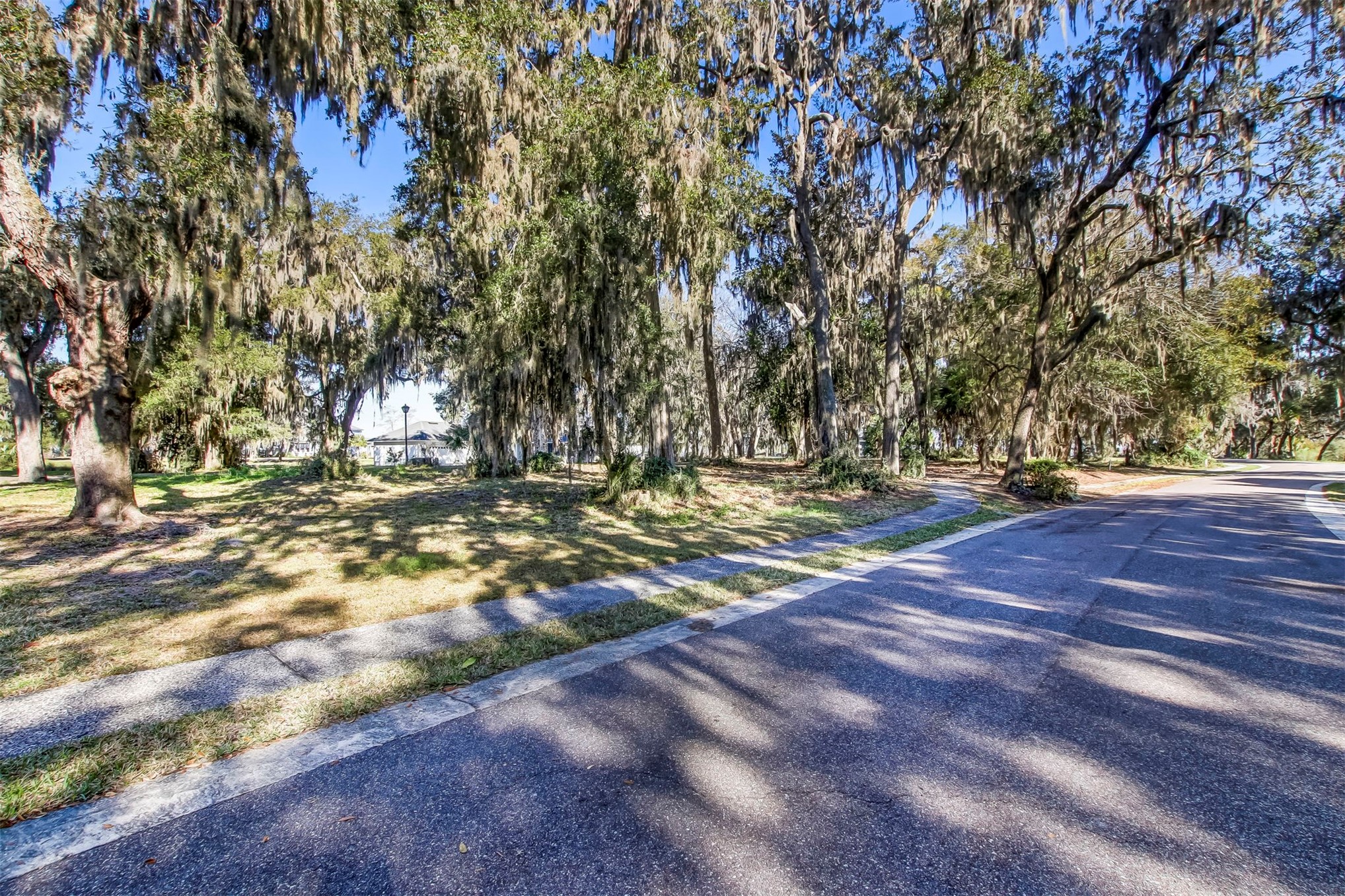 28857 Grandview Manor Yulee, FL 32097 - Photo 6 of 41 a view of outdoor space with trees