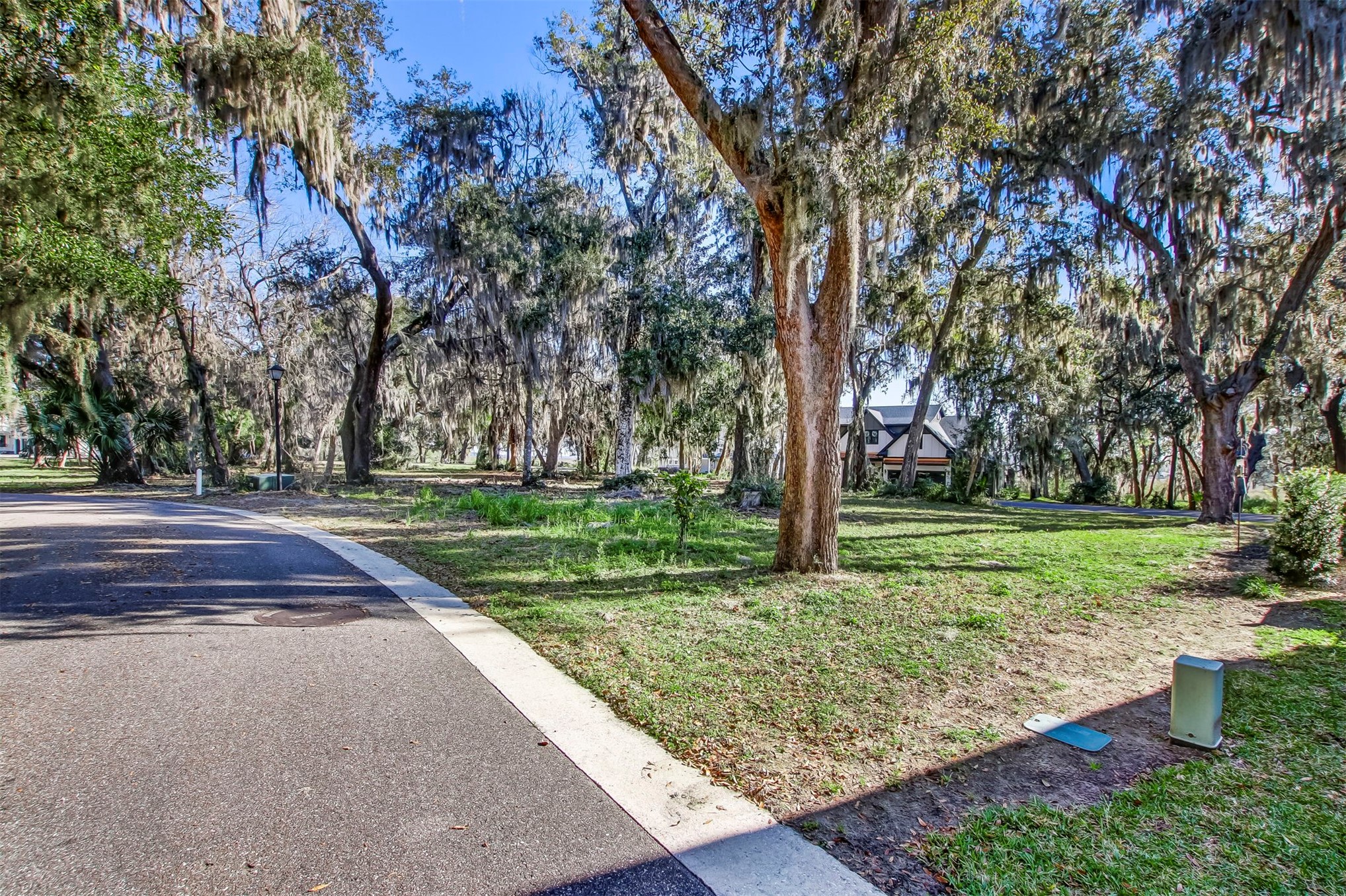 28857 Grandview Manor Yulee, FL 32097 - Photo 7 of 41 a view of outdoor space