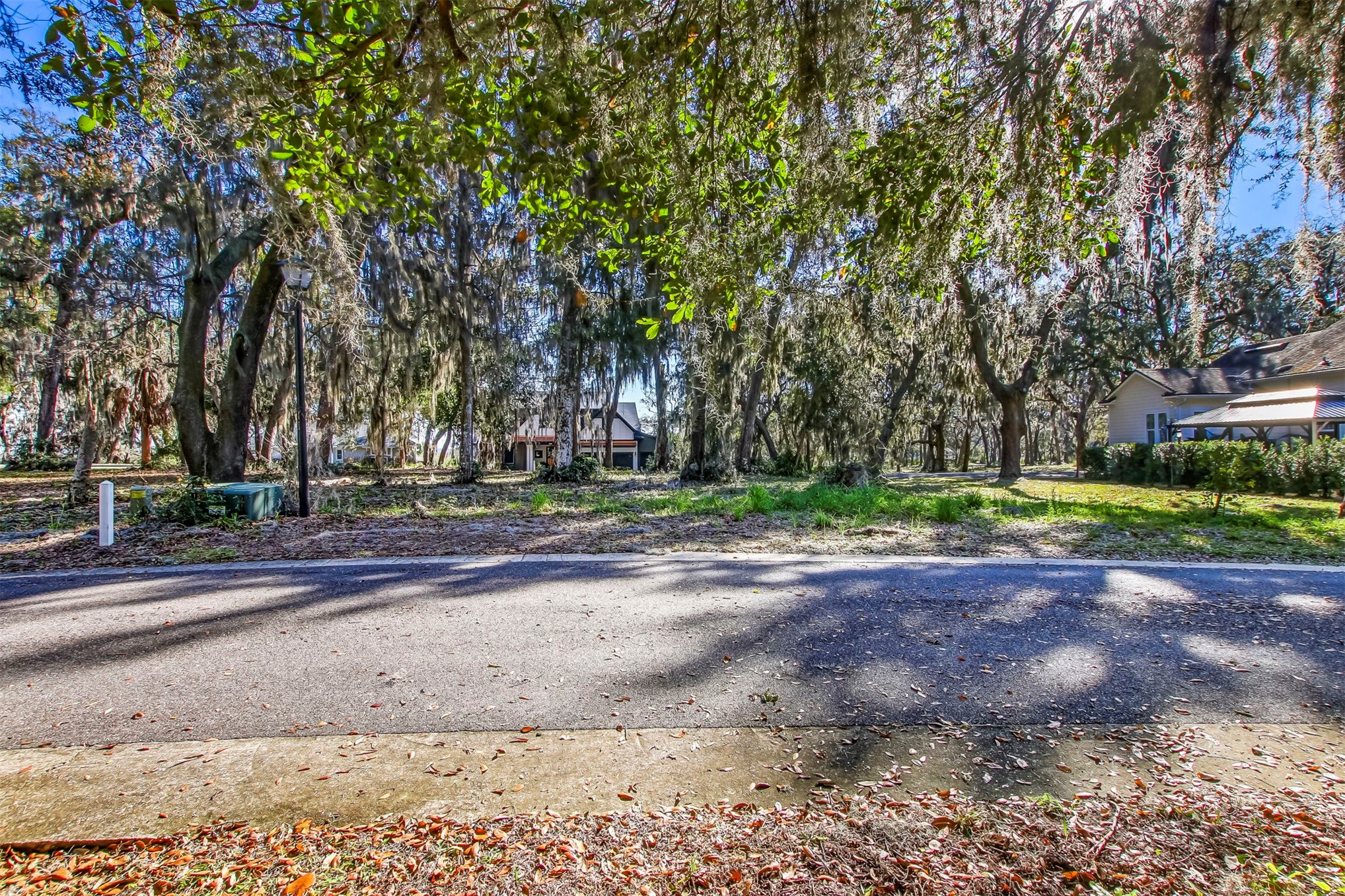 28857 Grandview Manor Yulee, FL 32097 - Photo 9 of 41 a view of a yard with plants and trees