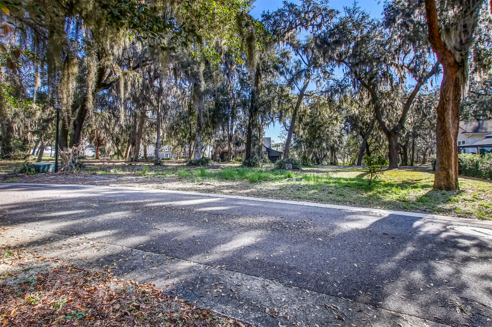 28857 Grandview Manor Yulee, FL 32097 - Photo 10 of 41 a view of a park with large trees